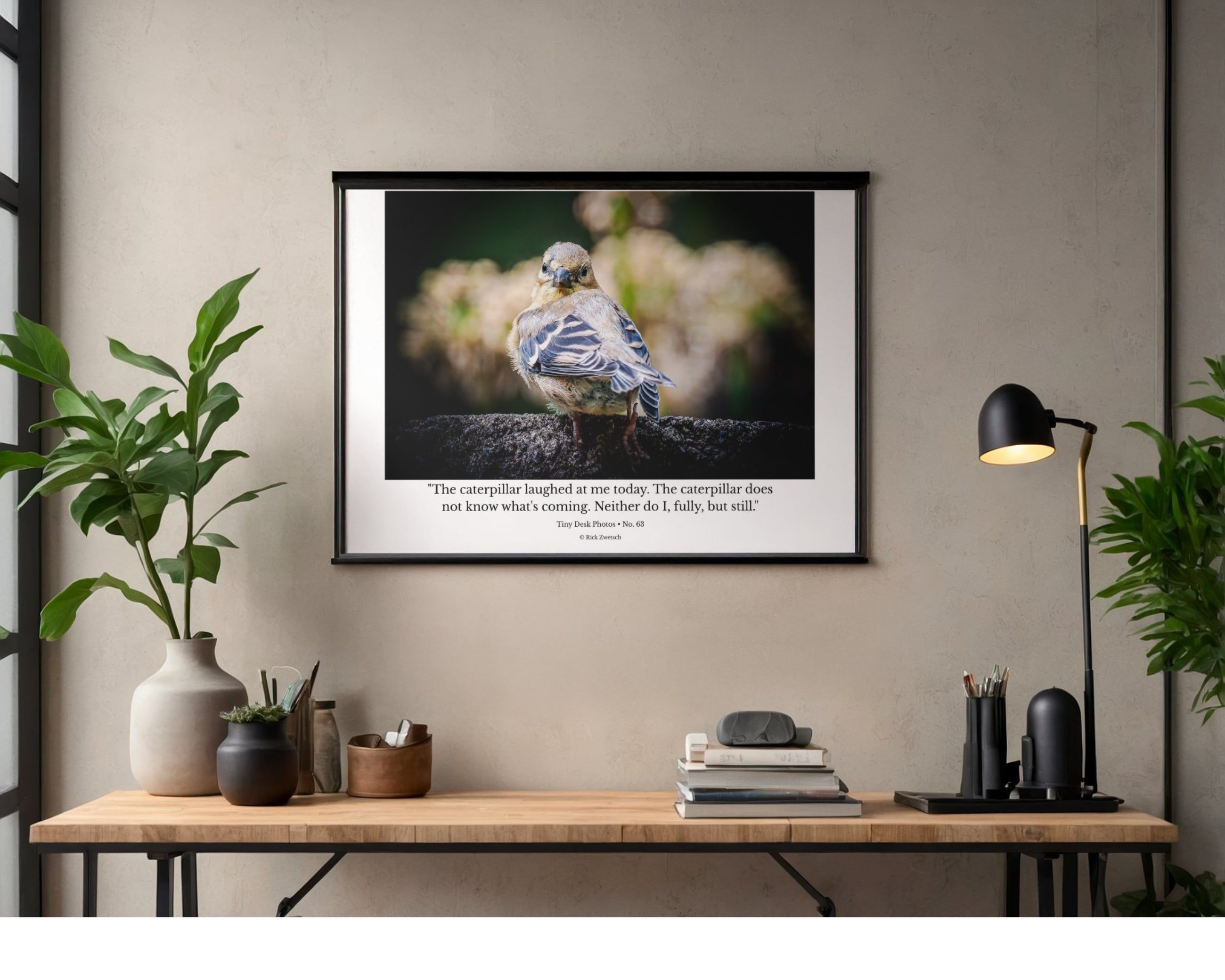 Juvenile Songbird Wildlife Photography Print | Tiny Desk Photos No. 63