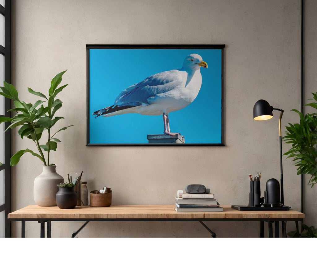 Ring-billed Gull Perched Profile Wildlife Photography Print | Tiny Desk Photos No. 68
