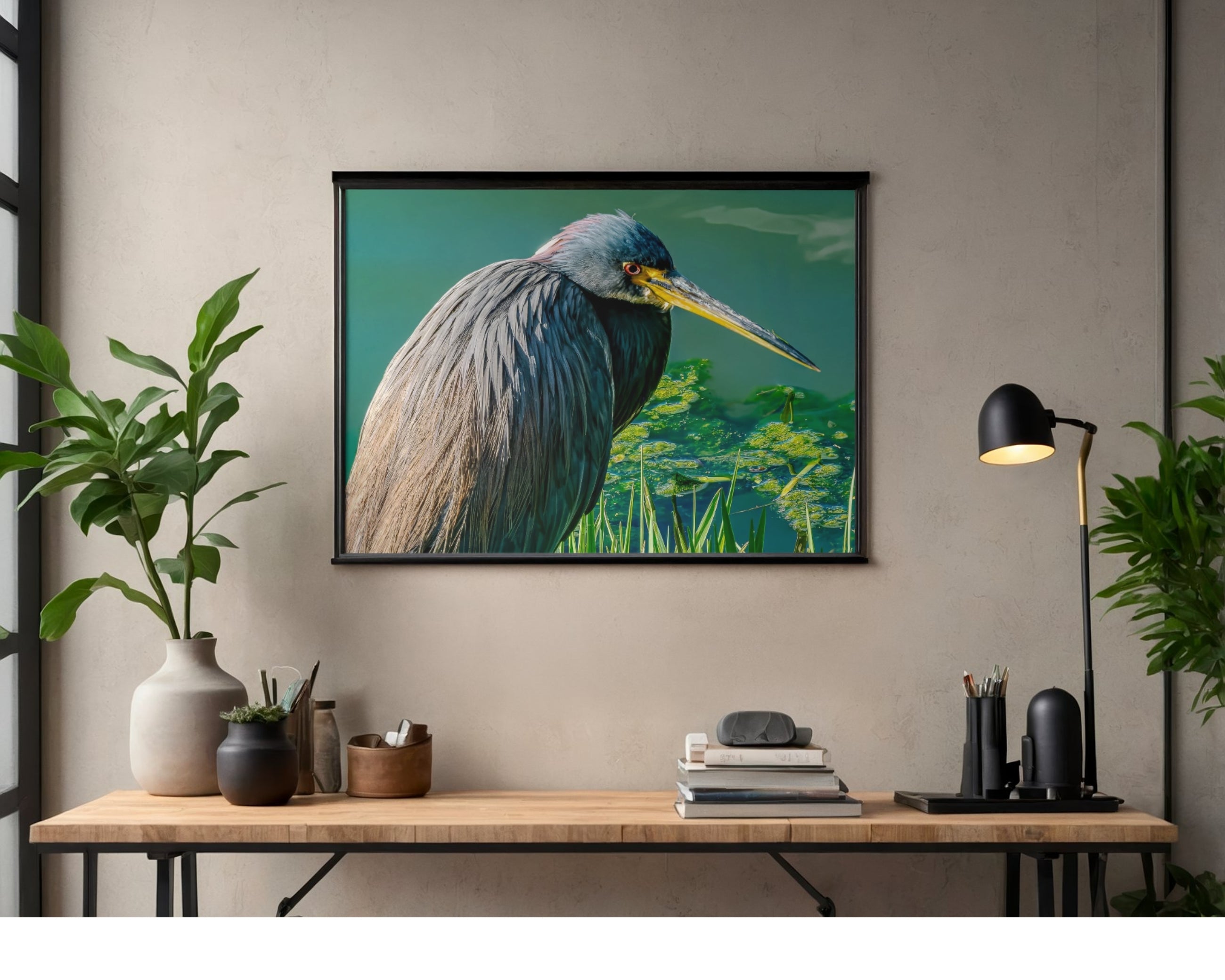 Tricolored Heron Hunting Close-Up Wildlife Photography Print | Tiny Desk Photos No. 69