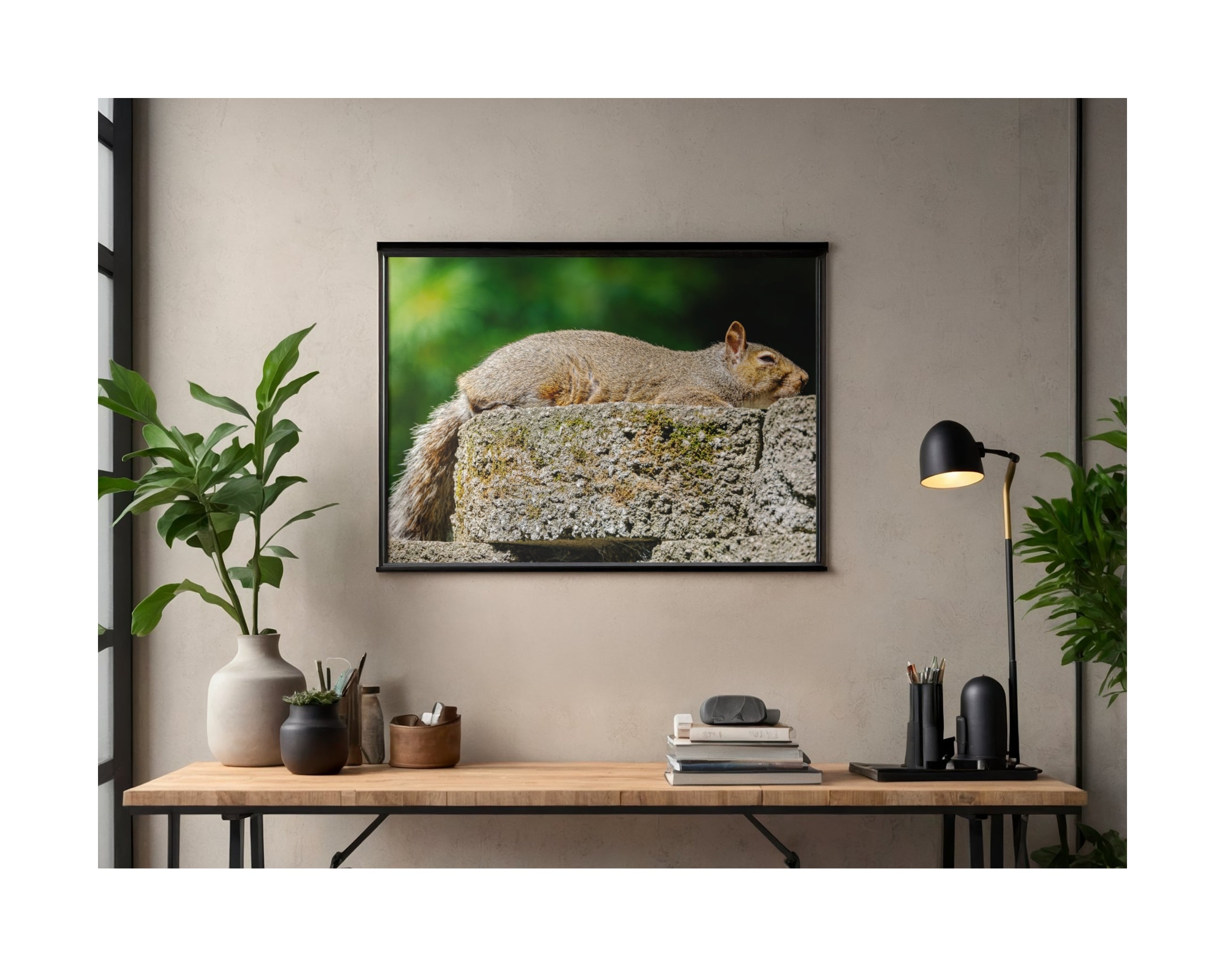 Tiny Desk Photos • No. 7 | Eastern Gray Squirrel | Composure