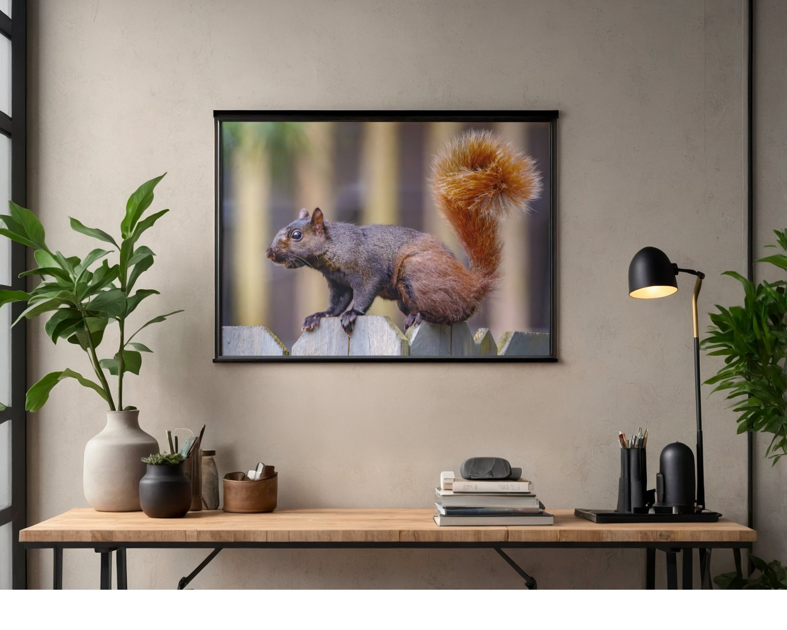 Fox Squirrel Fence Perch Wildlife Photography Print | Tiny Desk Photos No. 73