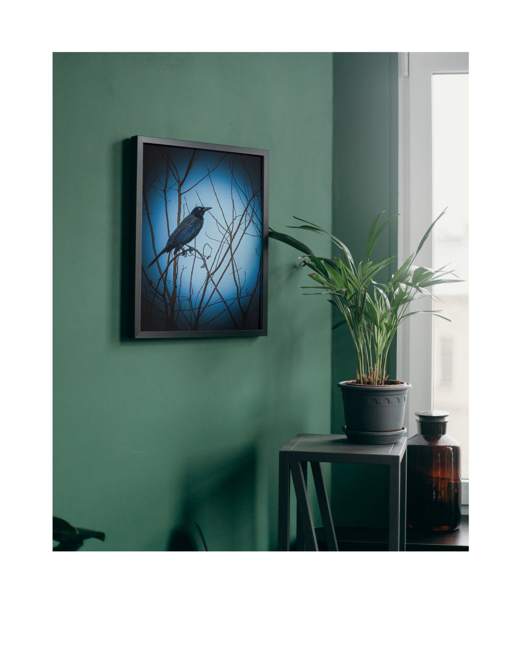 Common Grackle Perched Silhouette Wildlife Photography Print | Tiny Desk Photos No. 77