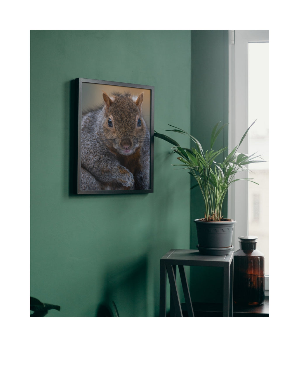 Eastern Gray Squirrel Expression Close-Up Wildlife Photography Print | Tiny Desk Photos No. 80