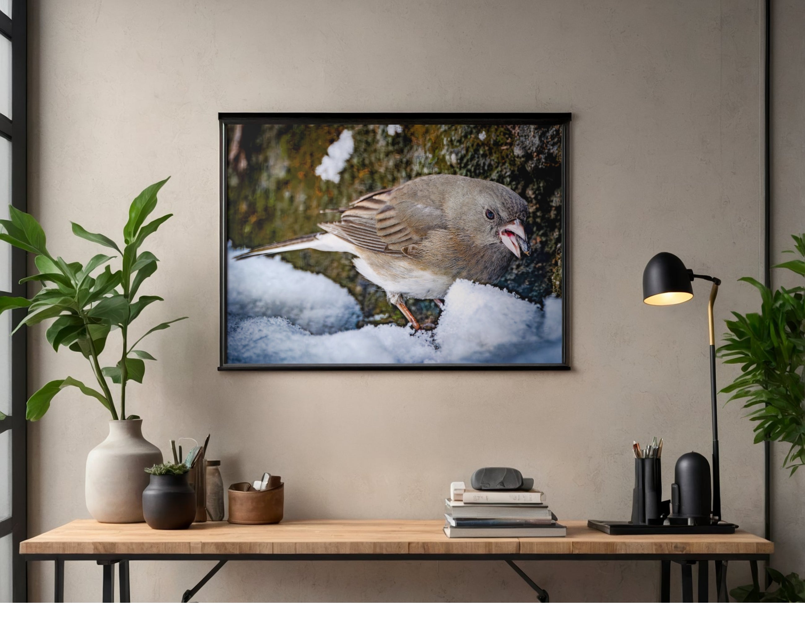 Dark-Eyed Junco in Snow Wildlife Photography Print | Tiny Desk Photos No. 88
