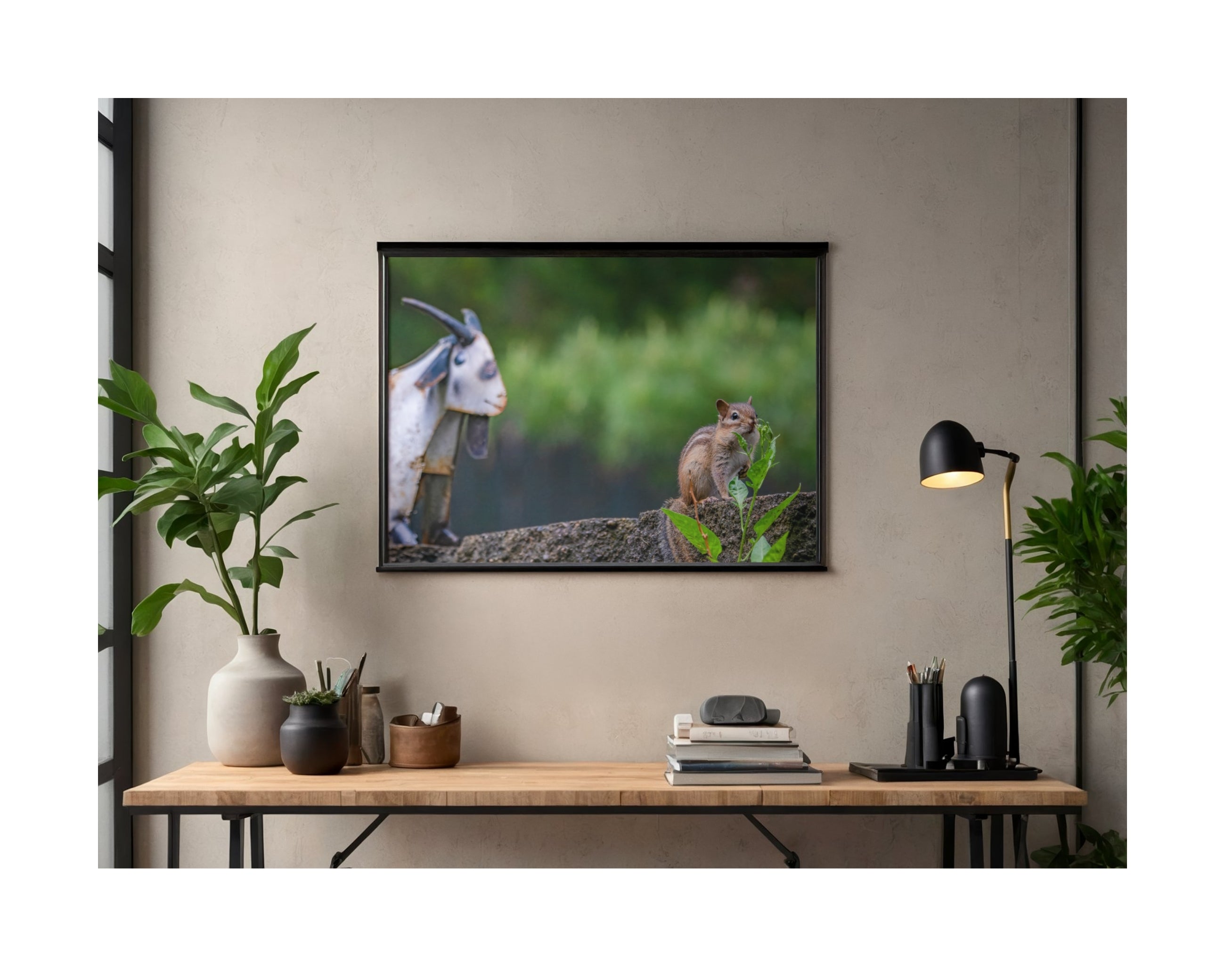 Tiny Desk Photos • No. 9 | Eastern Chipmunk | Intrusion