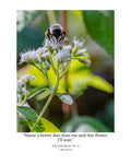 Tiny Desk Photos • No. 11 | Bumblebee | Partnership